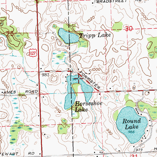 Topographic Map of Horseshoe Lake, MI