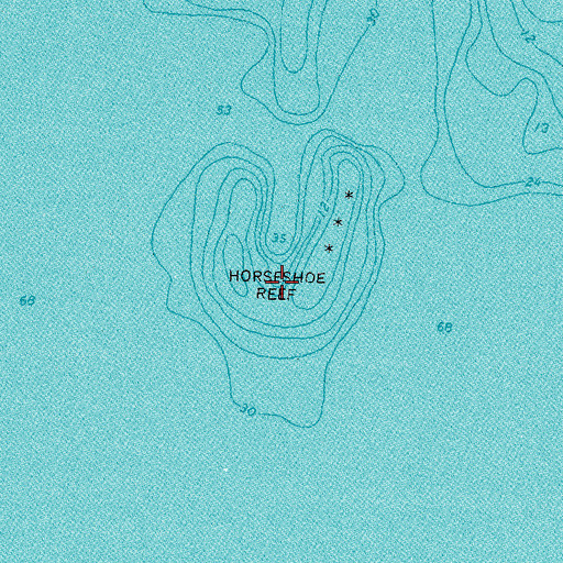 Topographic Map of Horseshoe Reef, MI