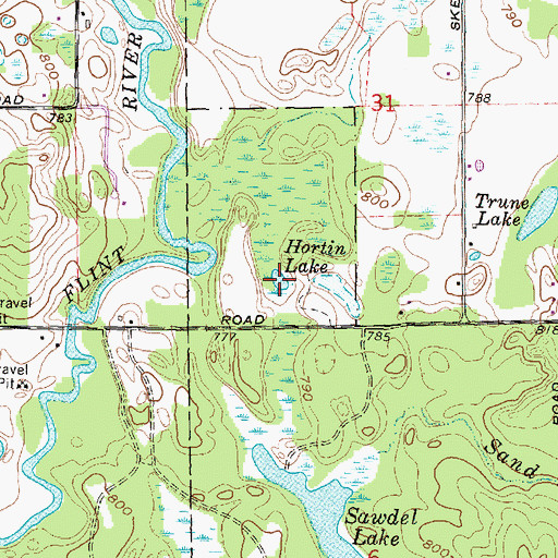 Topographic Map of Hortin Lake, MI