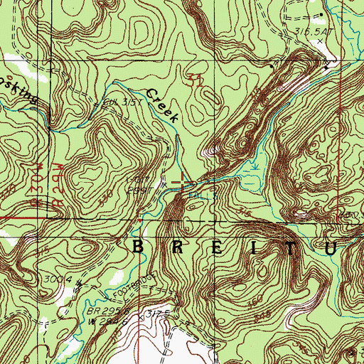 Topographic Map of Hosking Creek, MI