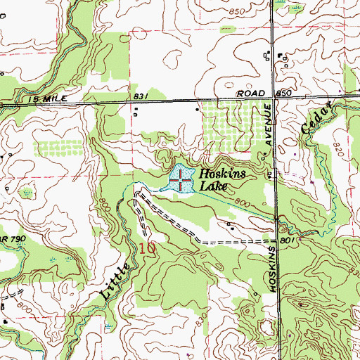 Topographic Map of Hoskins Lake, MI