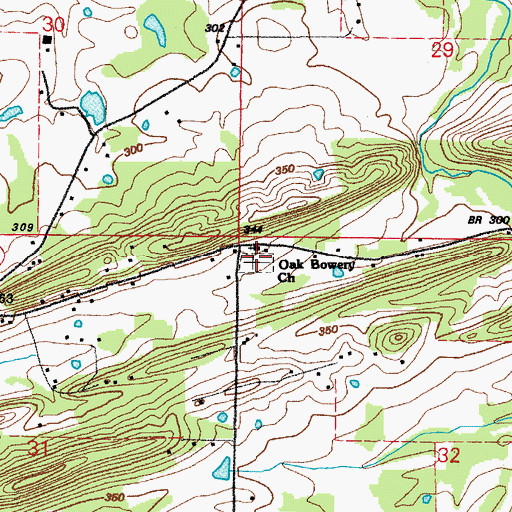 Topographic Map of Oak Bowery Cemetery, AR