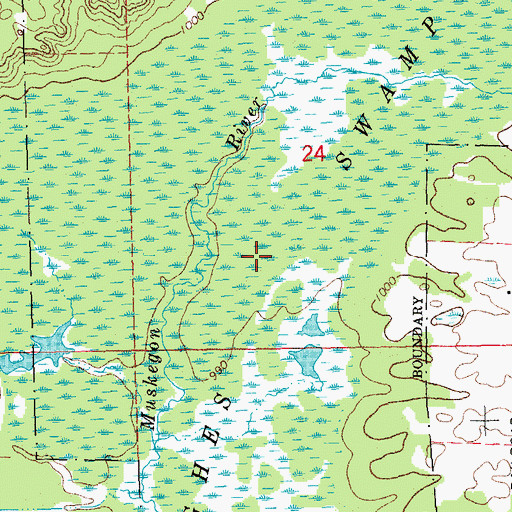 Topographic Map of Hughes Swamp, MI