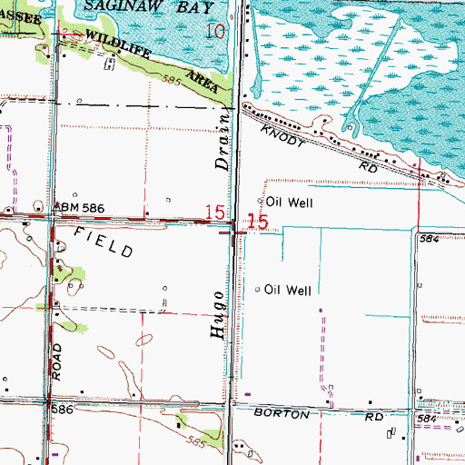 Topographic Map of Hugo Drain, MI
