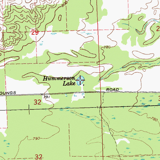 Topographic Map of Hummerson Lake, MI