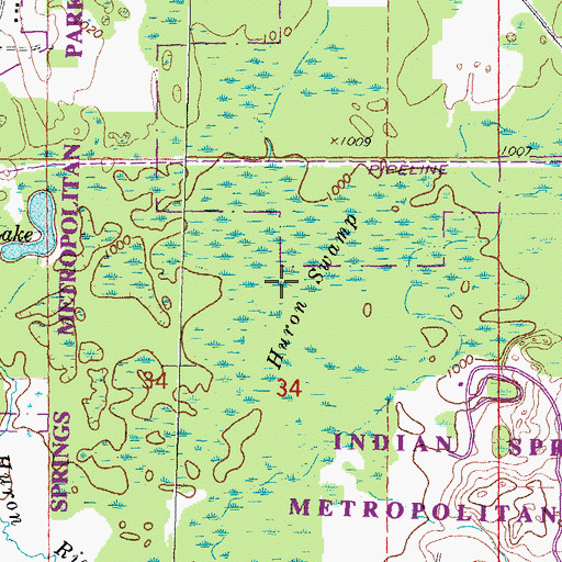 Topographic Map of Huron Swamp, MI