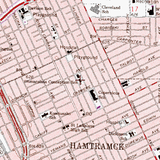 Topographic Map of Immaculate Conception School, MI