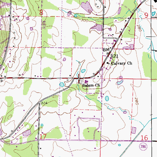 Topographic Map of Salem Cemetery, AR