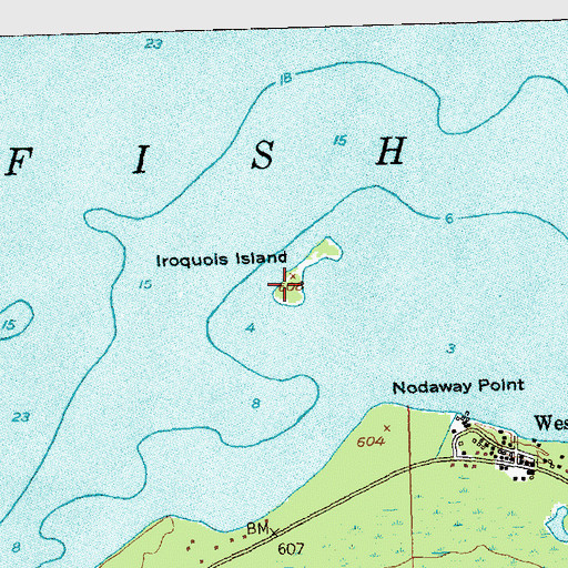 Topographic Map of Iroquois Island, MI