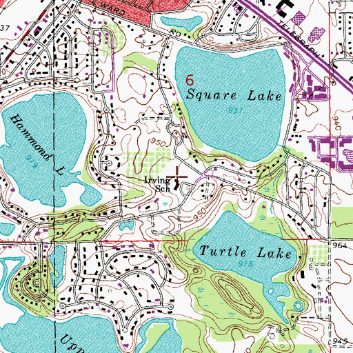 Topographic Map of Irving School, MI