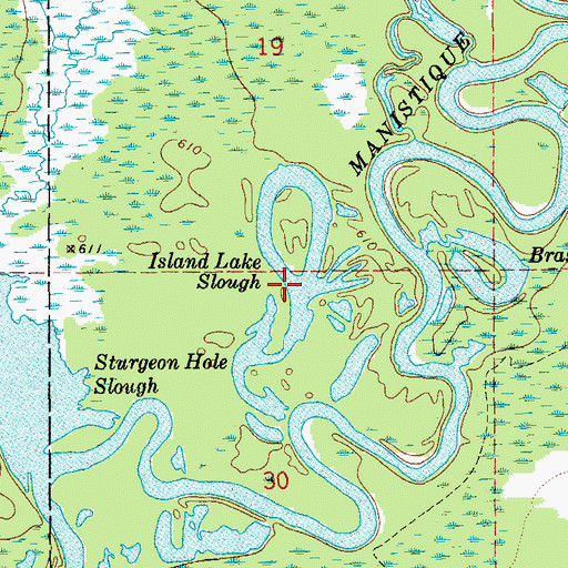 Topographic Map of Island Lake Slough, MI