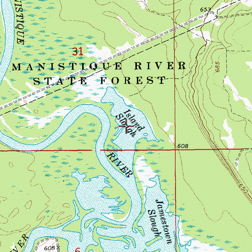 Topographic Map of Island Slough, MI