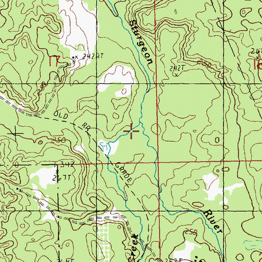 Topographic Map of Johnson Creek, MI