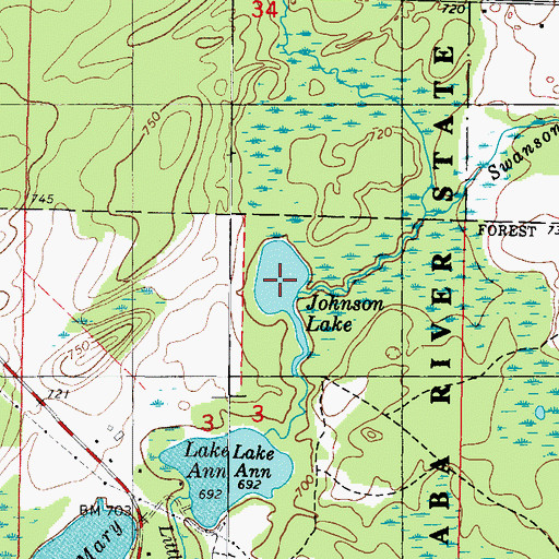 Topographic Map of Johnson Lake, MI