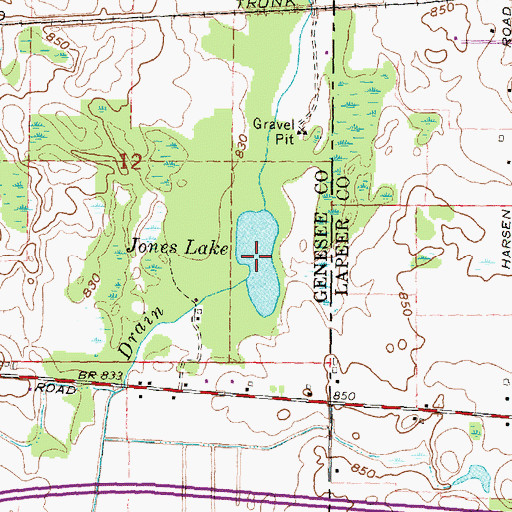 Topographic Map of Jones Lake, MI