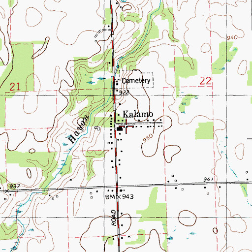 Topographic Map of Kalamo, MI