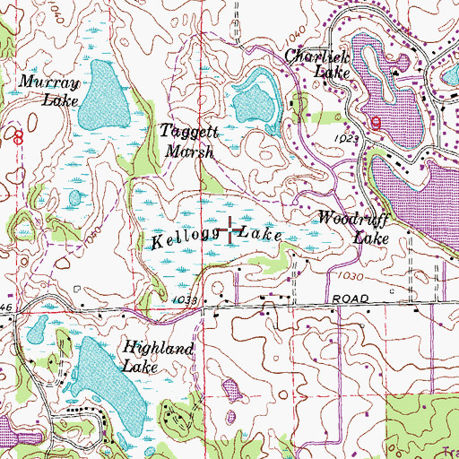 Topographic Map of Kellogg Lake, MI
