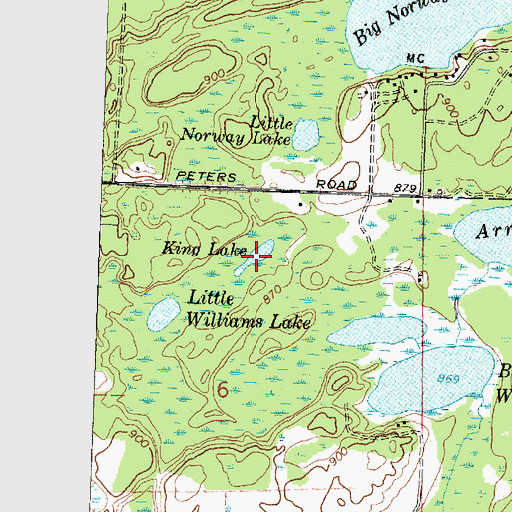 Topographic Map of King Lake, MI