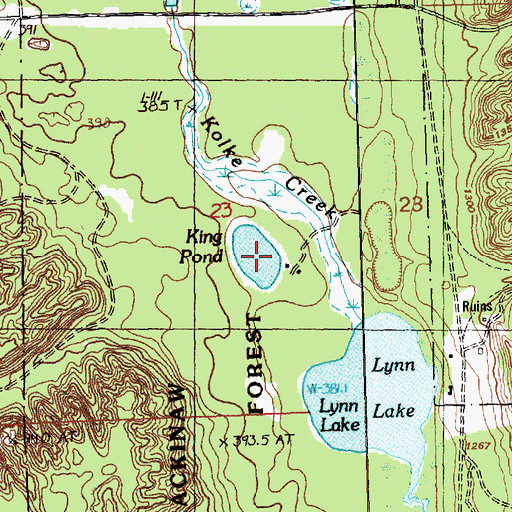 Topographic Map of King Pond, MI