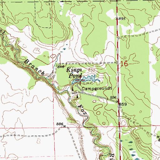 Topographic Map of Kings Pond, MI