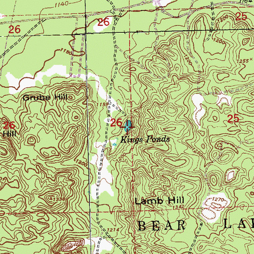 Topographic Map of Kings Ponds, MI