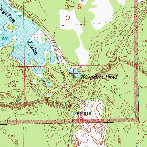 Topographic Map of Kingston Pond, MI