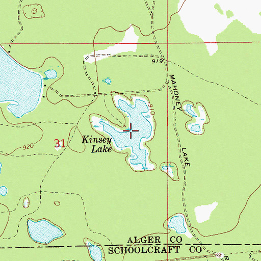 Topographic Map of Kinsey Lake, MI