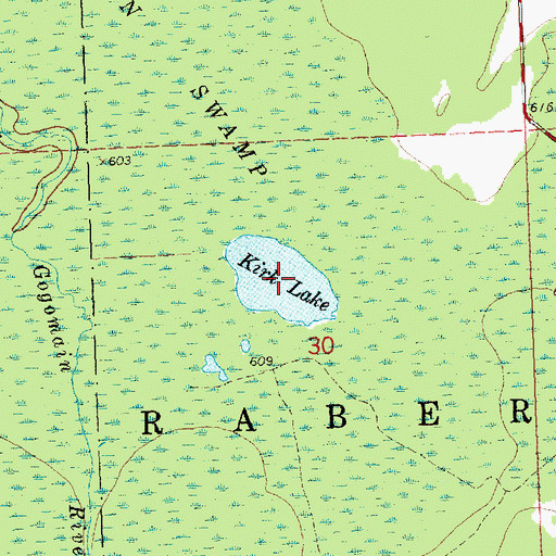 Topographic Map of Kirk Lake, MI