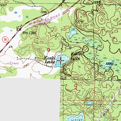 Topographic Map of Koski Lake, MI