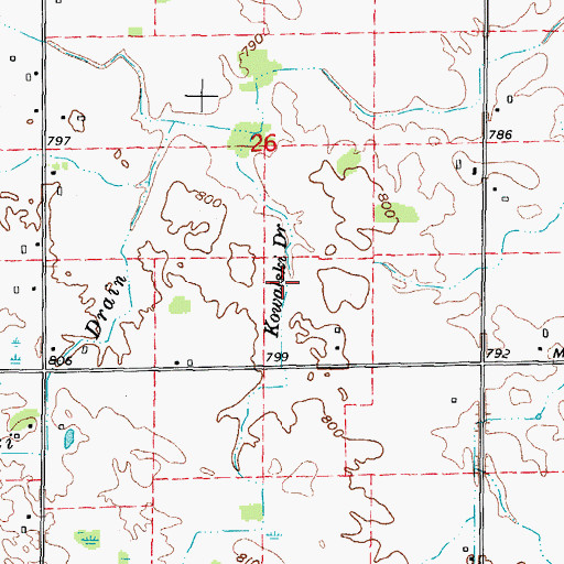 Topographic Map of Kowalski Drain, MI