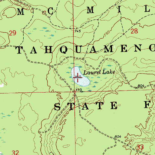 Topographic Map of Laurel Lake, MI