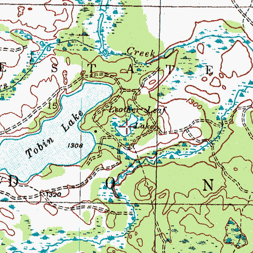 Topographic Map of Leather Leaf Lake, MI