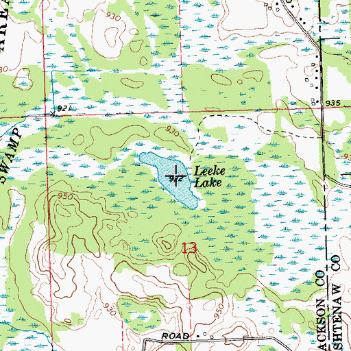 Topographic Map of Leeke Lake, MI