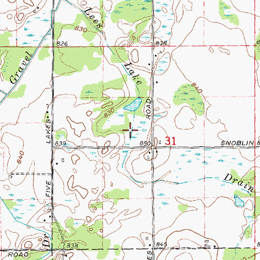 Topographic Map of Lees Lake Drain, MI