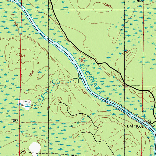 Topographic Map of Leisner Creek, MI