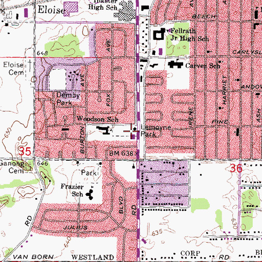 Topographic Map of Lemoyne Park, MI