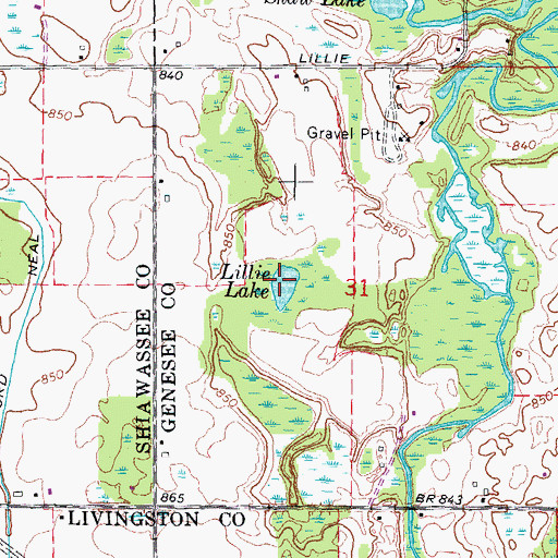 Topographic Map of Lillie Lake, MI