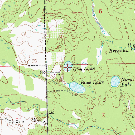 Topographic Map of Lily Lake, MI