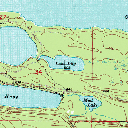 Topographic Map of Lily Lake, MI