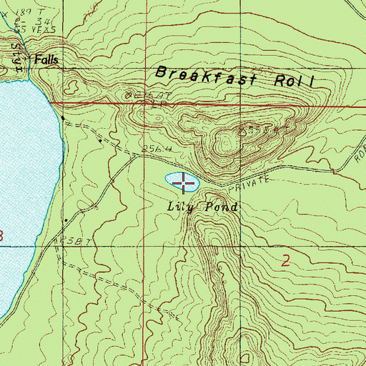Topographic Map of Lily Pond, MI