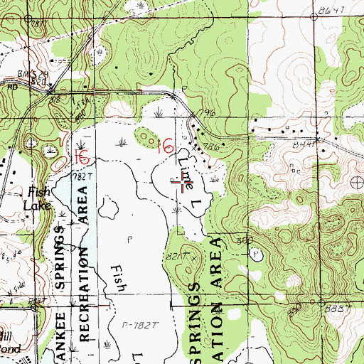 Topographic Map of Lime Lake, MI