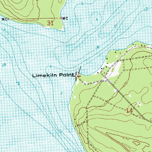 Topographic Map of Lime Kiln Point, MI