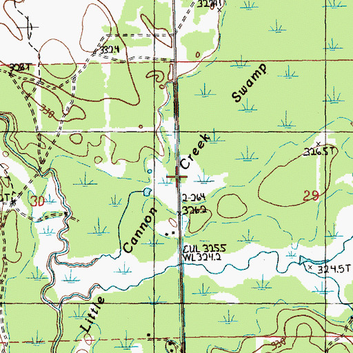 Topographic Map of Little Cannon Creek Swamp, MI