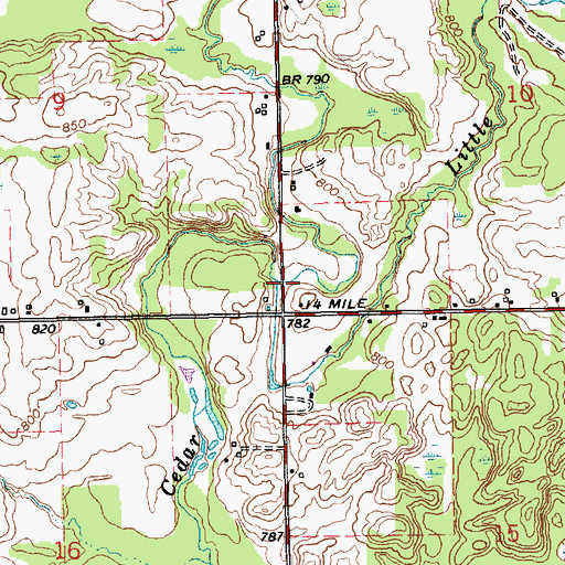 Topographic Map of Little Cedar Creek, MI
