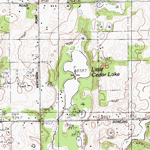 Topographic Map of Little Cedar Lake, MI