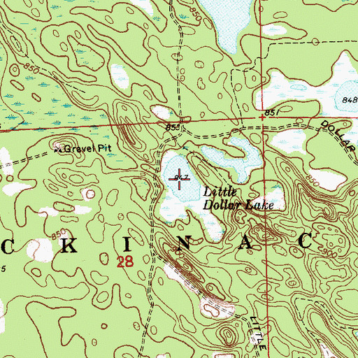 Topographic Map of Little Dollar Lake, MI