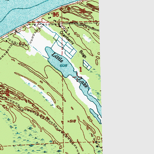 Topographic Map of Little Lake, MI