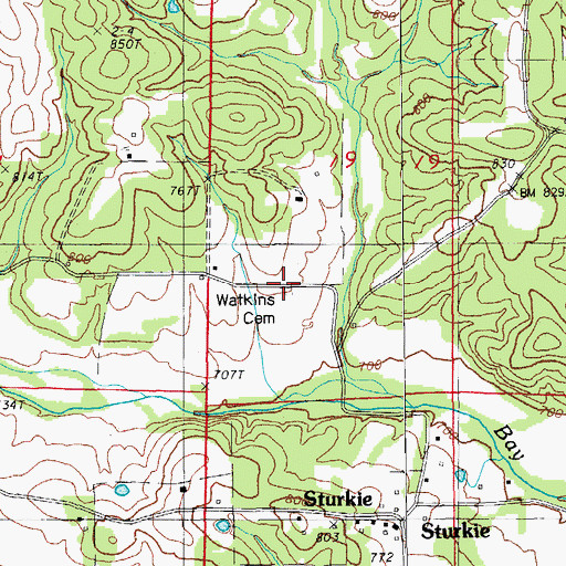 Topographic Map of Watkins Cemetery, AR