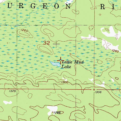 Topographic Map of Little Mud Lake, MI