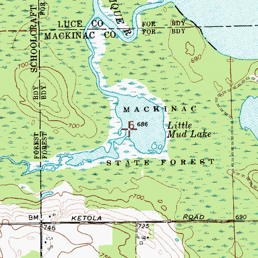 Topographic Map of Little Mud Lake, MI